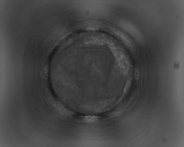 X0000095530363200801041252