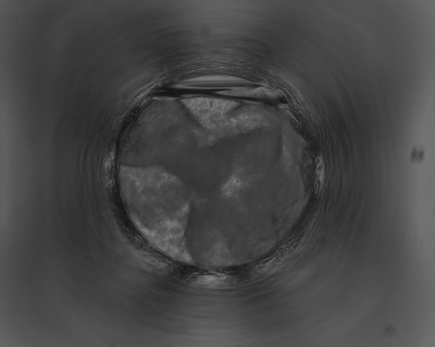 X0000095530364200801041252