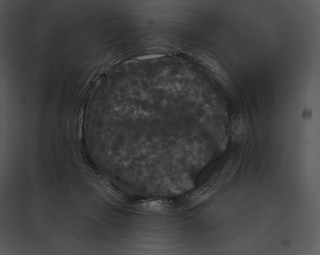 X0000095530365200801041252