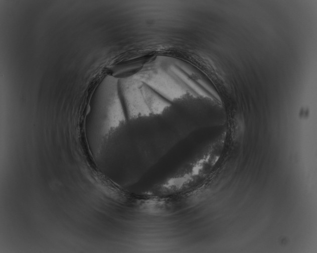 X0000095530366200801041252