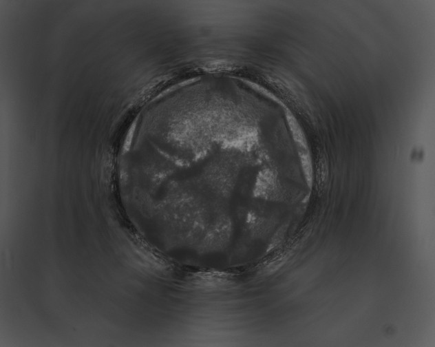 X0000095530367200801041252