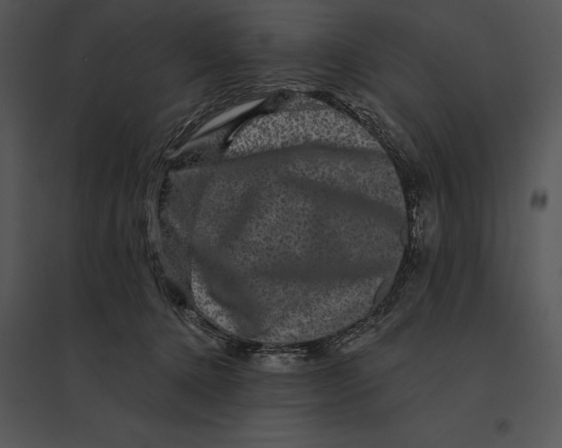 X0000095530368200801041252