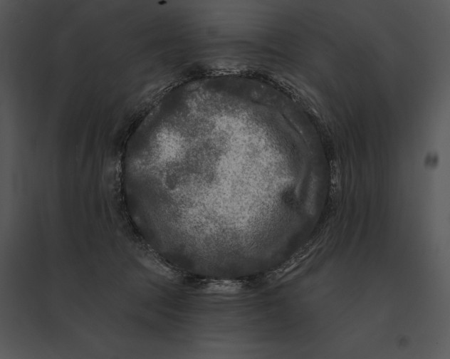 X0000095530369200801041252