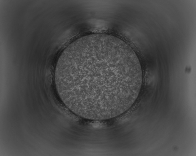 X0000095530370200801041252