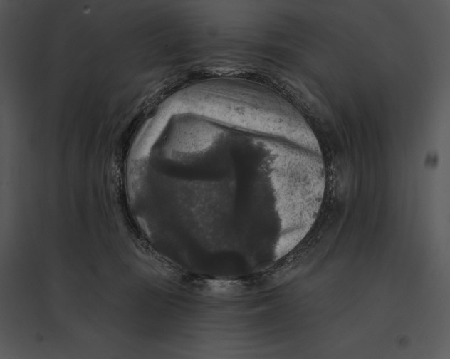 X0000095530371200801041252