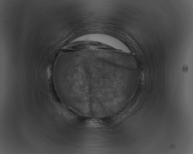 X0000095530372200801041252