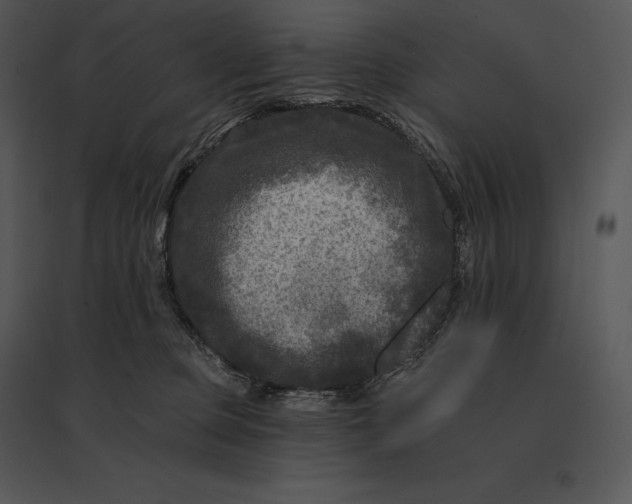 X0000095530373200801041252