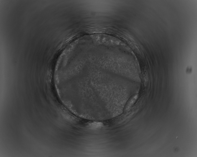 X0000095530374200801041252