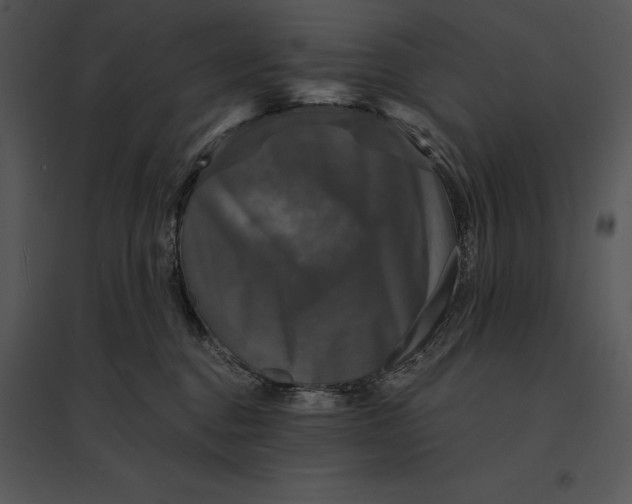 X0000095530376200801041252