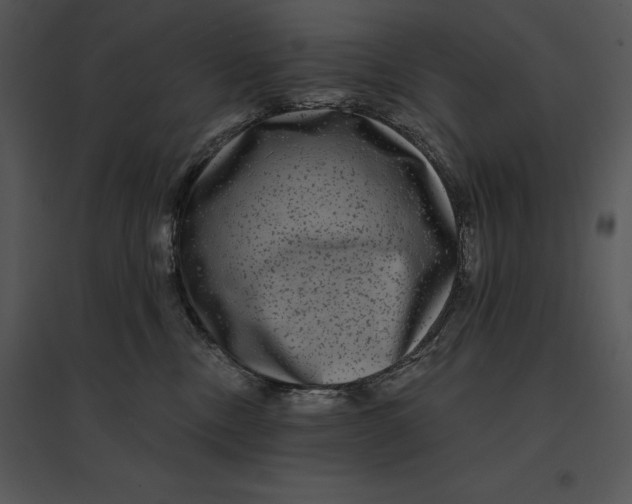 X0000095530378200801041252