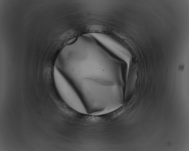 X0000095530379200801041252