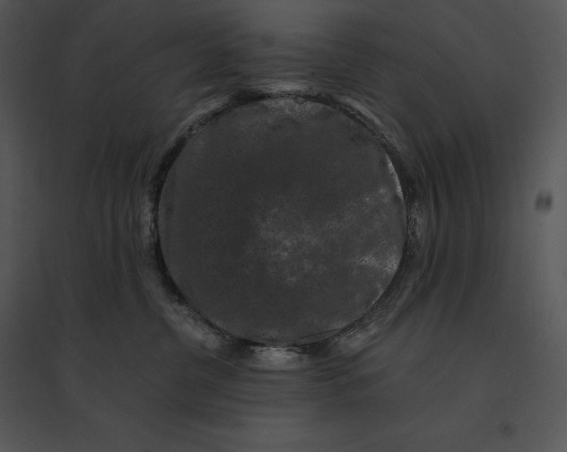 X0000095530380200801041252