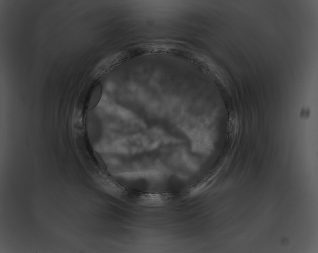 X0000095530381200801041252