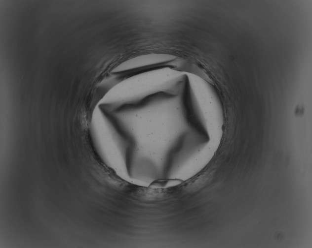 X0000095530384200801041252