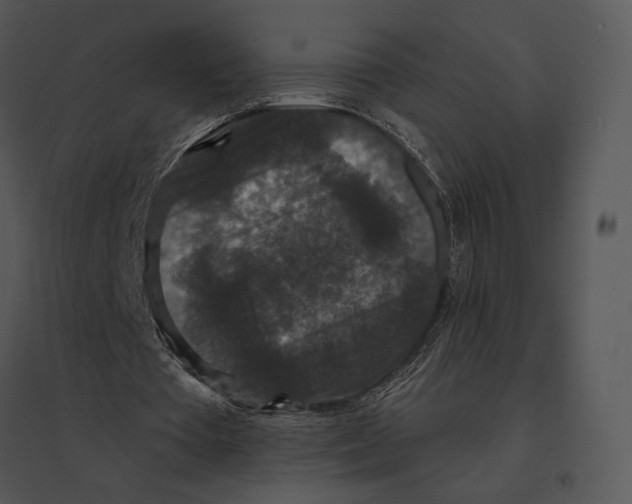 X0000095530385200801041251