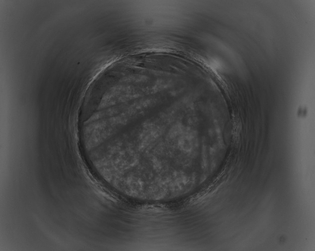 X0000095530386200801041251