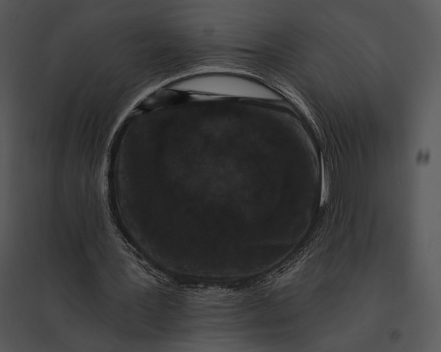 X0000095530387200801041251