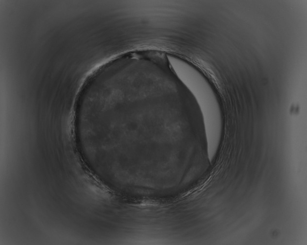 X0000095530388200801041251