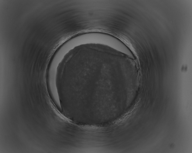 X0000095530389200801041251