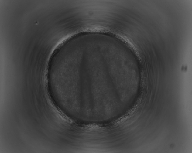 X0000095530392200801041251