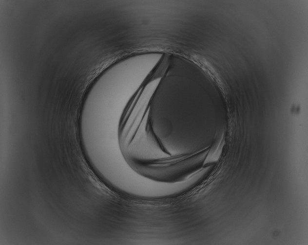 X0000095530393200801041251