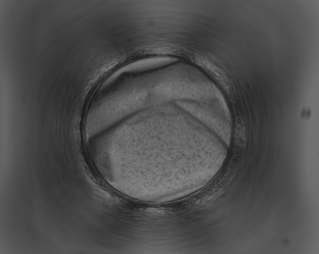 X0000095530394200801041251