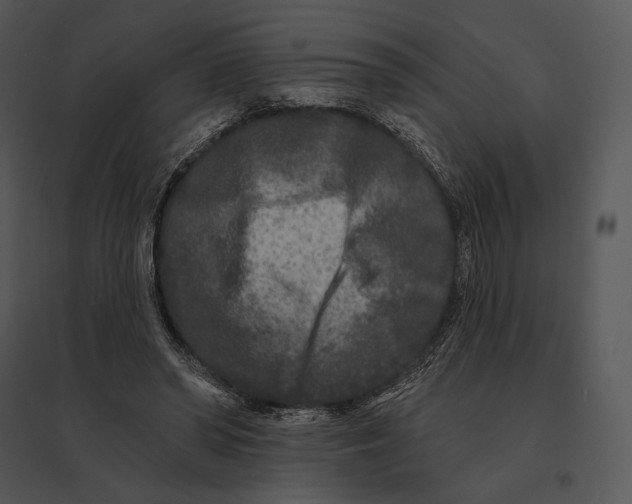 X0000095530398200801041251