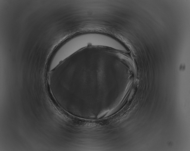 X0000095530399200801041251