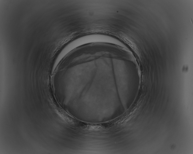 X0000095530401200801041251