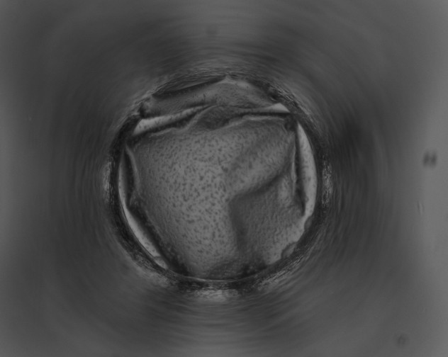 X0000095530404200801041251