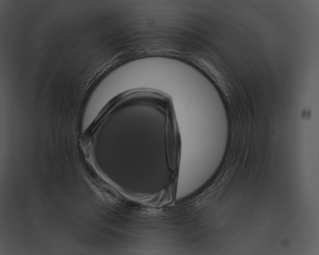 X0000095530405200801041251