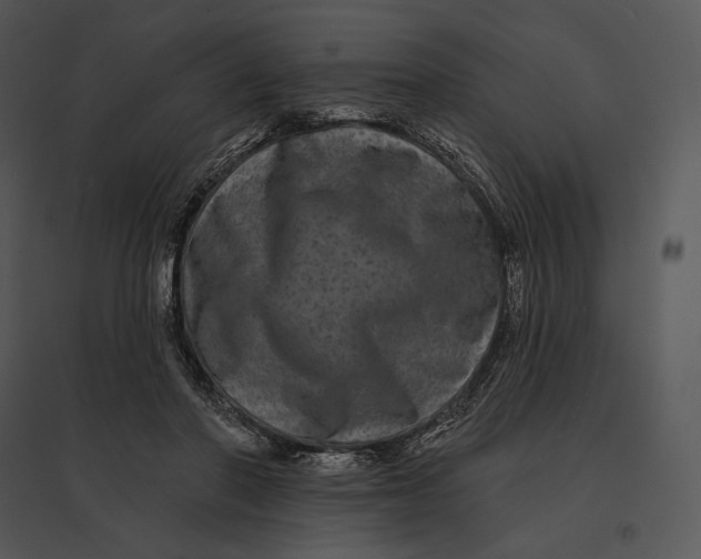 X0000095530406200801041251