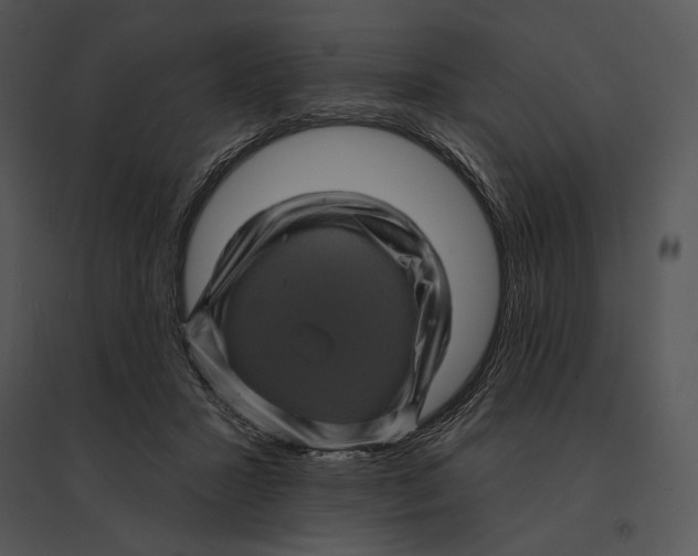 X0000095530407200801041251