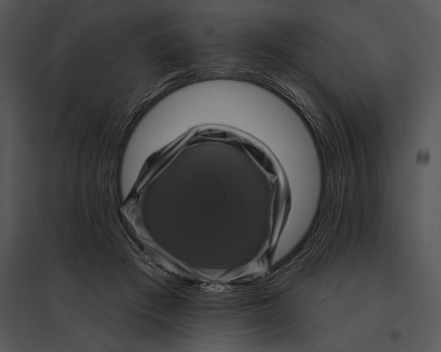 X0000095530409200801041251