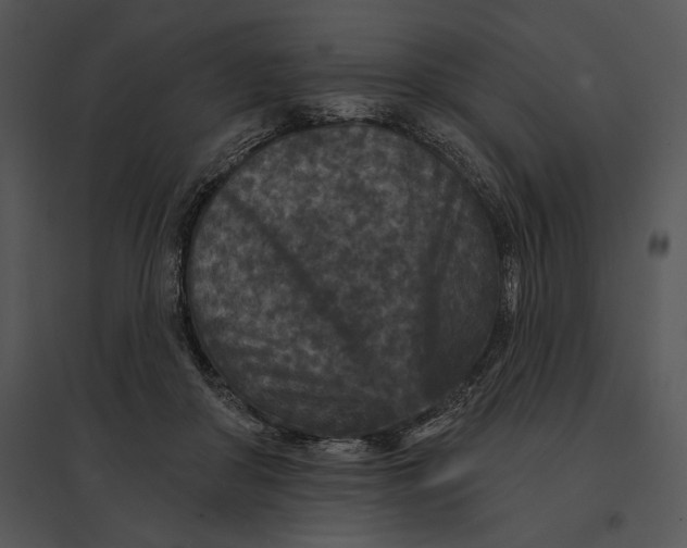 X0000095530410200801041251