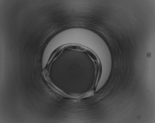 X0000095530411200801041251