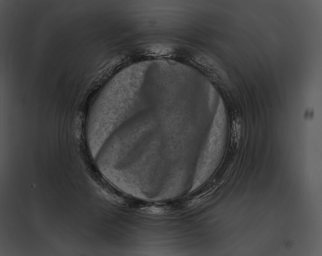 X0000095530412200801041251