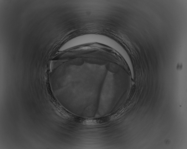 X0000095530413200801041251