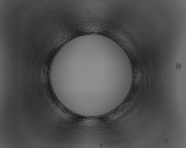 X0000095530414200801041251