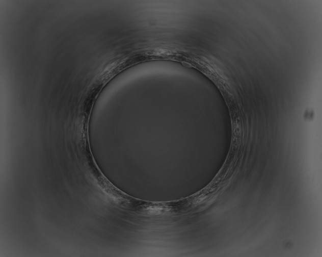 X0000095530415200801041251