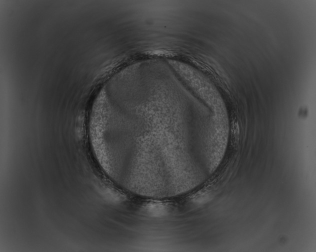 X0000095530416200801041251