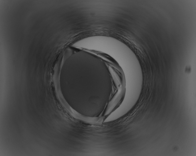 X0000095530417200801041251