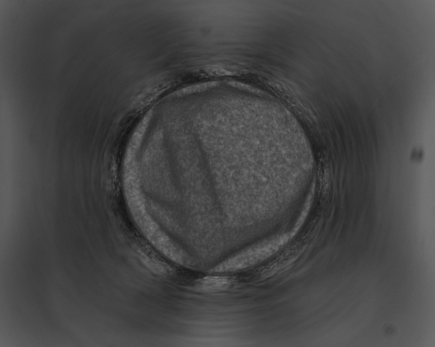 X0000095530418200801041251