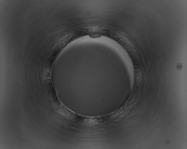 X0000095530419200801041251