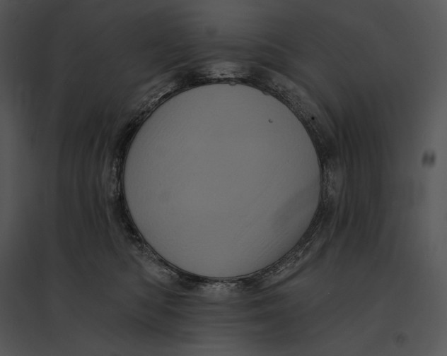 X0000095530422200801041251