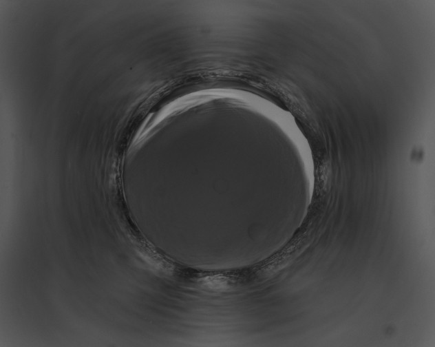 X0000095530423200801041251