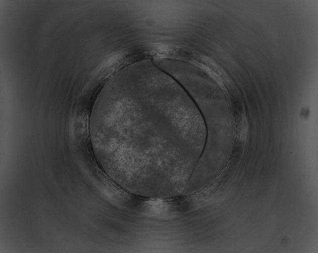 X0000095530425200801041251