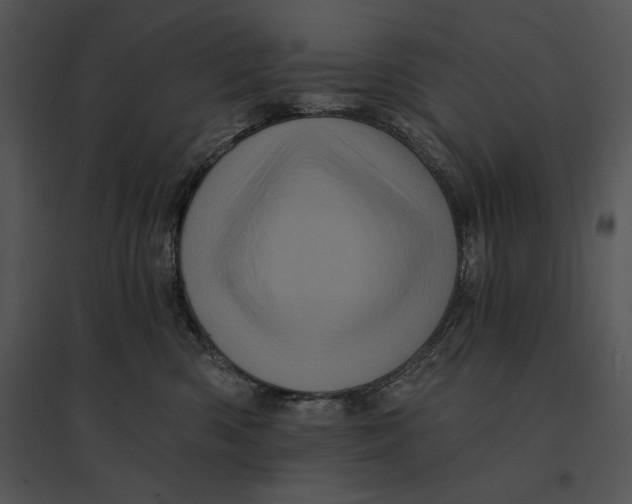 X0000095530426200801041251