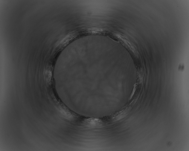 X0000095530427200801041251