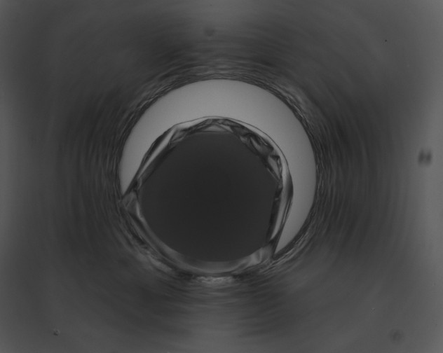 X0000095530429200801041251